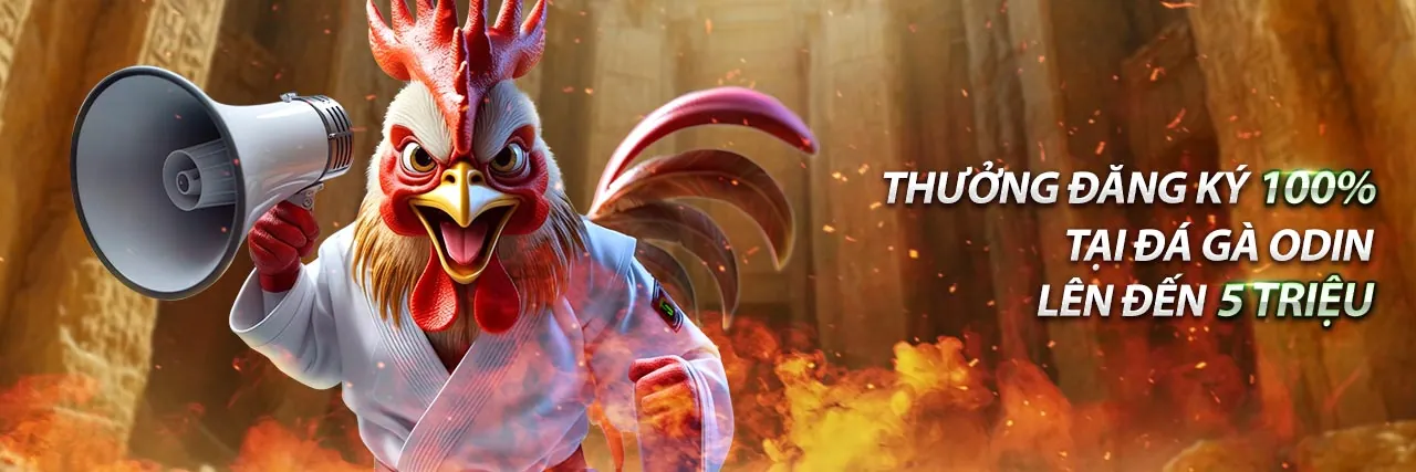 Hình ảnh chính ae666: Đăng ký để trải nghiệm cá cược trực tuyến đỉnh cao